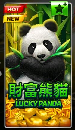 Slotxo-Lucky Panda