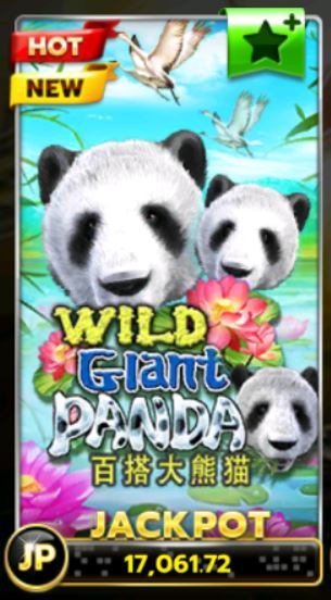 Slotxo-Slot-xo-Wild-Giant-Panda-สล็อตฝาก19รับ100ล่าสุด