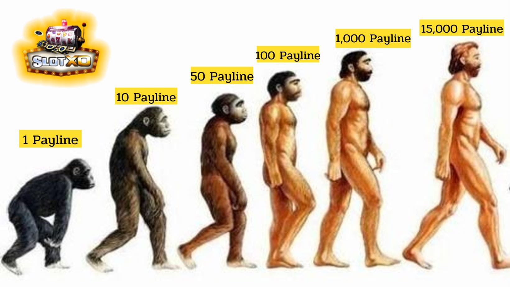 Payline วิวัฒนาการ